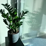 Peaceful Premium With Sauna And Balcony - Perfect Downtown Location Tampere
