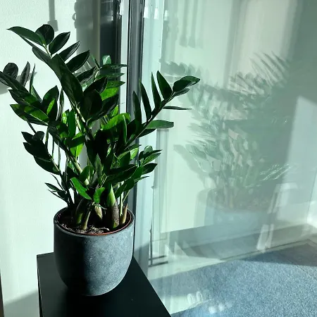 Peaceful Premium With Sauna And Balcony - Perfect Downtown Location 탐페레